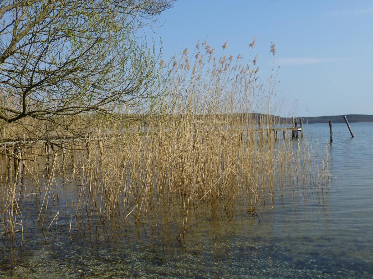 Ferienhaus Altes Fischerhaus Plau am See